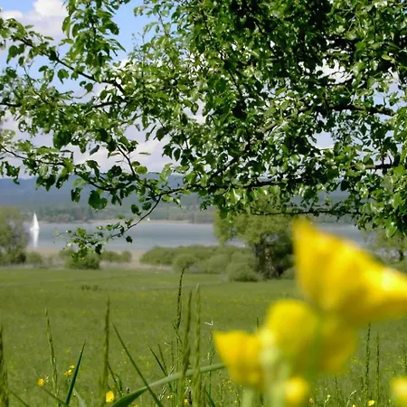 Gasthof Historisches Hirschen *