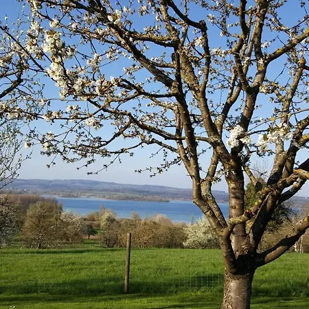 Historisches Hirschen Gasthof *
